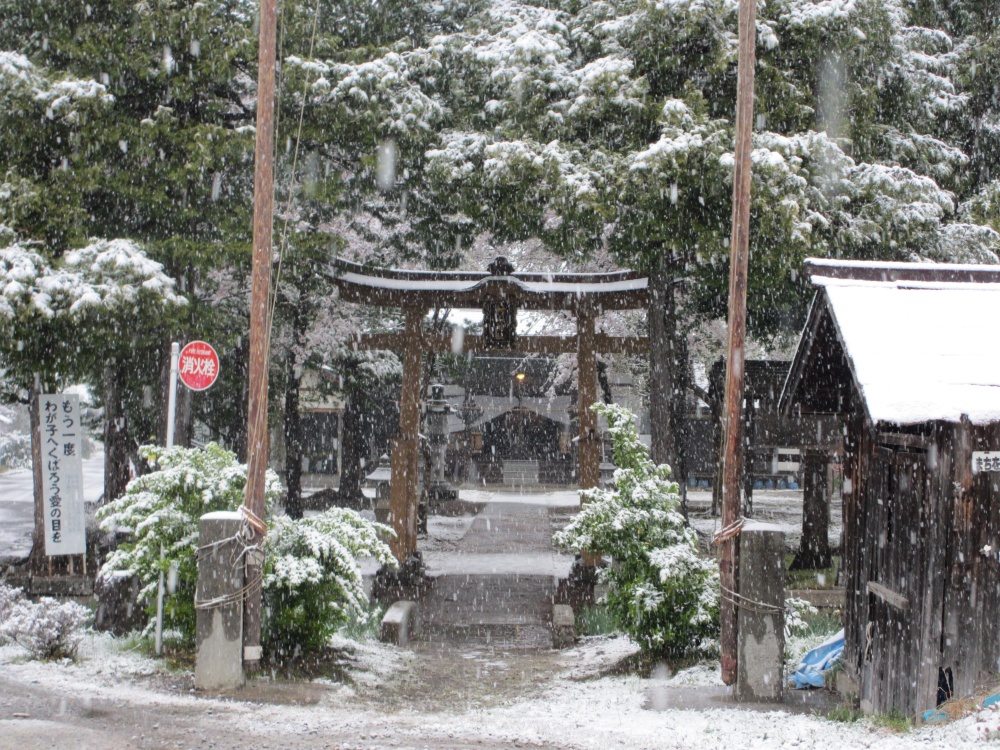 雪が降る村山神社　4月とは思えない